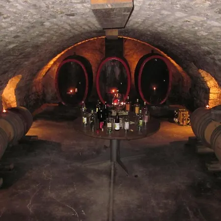 Gaestehaus Rebstock Im Weingut Schrauth-becker Guest house 3*