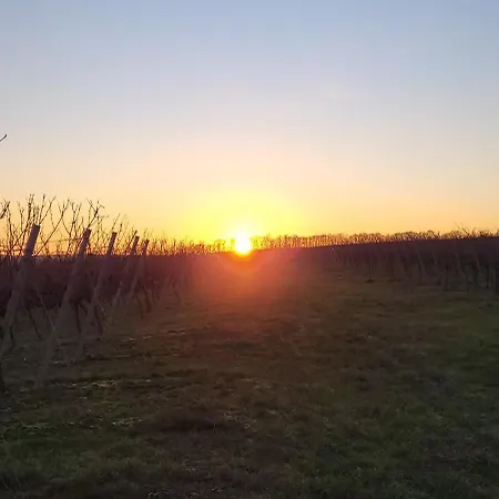 Gaestehaus Rebstock Im Weingut Schrauth-becker Guest house Udenheim