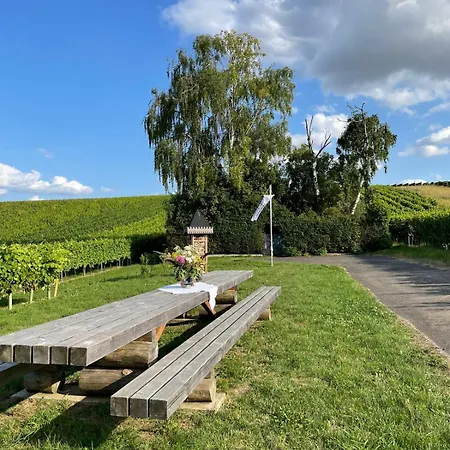 Gaestehaus Rebstock Im Weingut Schrauth-becker Guest house Udenheim