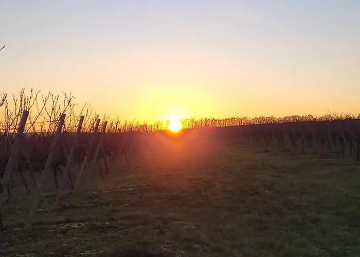 Gaestehaus Rebstock Im Weingut Schrauth-becker Pensjonat Udenheim