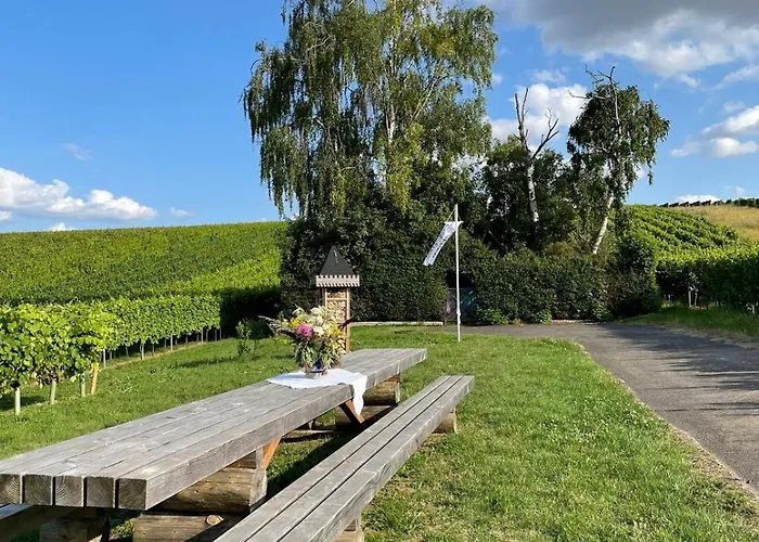 Gaestehaus Rebstock Im Weingut Schrauth-becker Pensjonat Udenheim